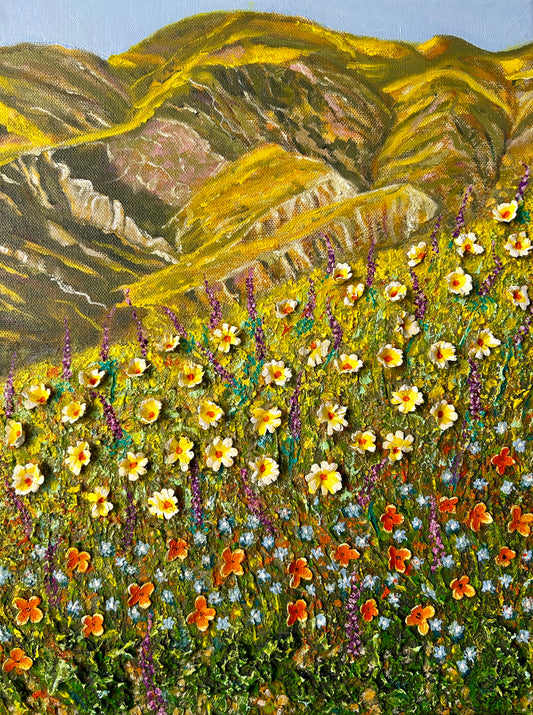 "Carrizo Plain"