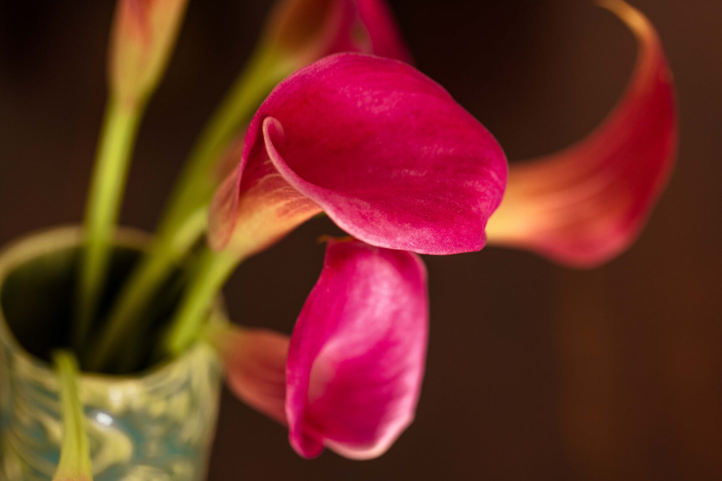 "Hagi Flowers" Framed