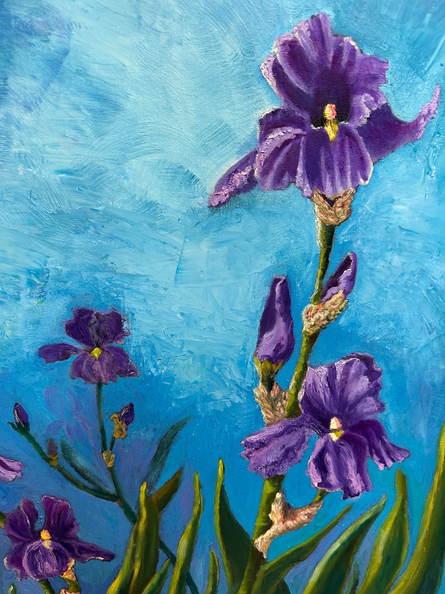 Irises in Blue