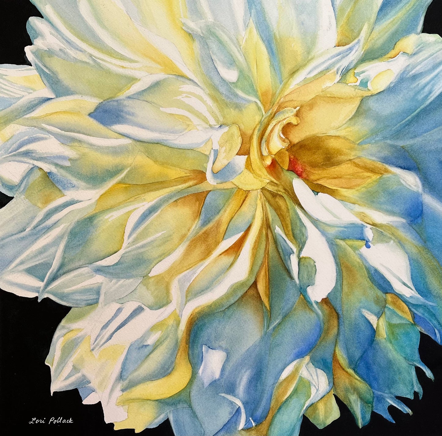 "White Dahlia"